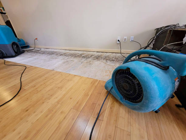 Professional Water Damage Repair technician working in Sharpes, FL